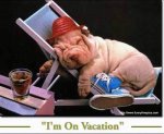 dog vacation.jpg