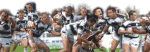 167-6708_img.gif