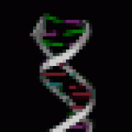 dna