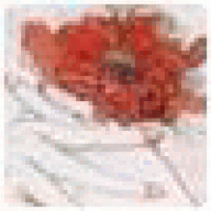 UpdalpBeefaup